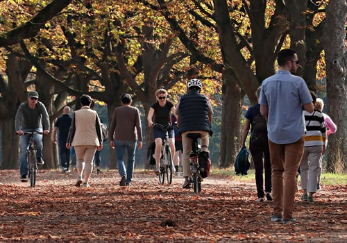 Placeholder mapa interactivo